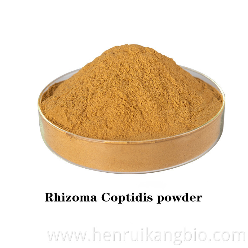 Rhizoma Coptidis powder